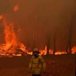 Incendio forestal del suroeste australiano se agrava y arrasa 71 viviendas australia