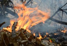 Llamado a la prevención de incendios forestales en Chinandega nicaragua