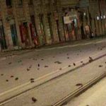 Aparecen aves muertas en Roma tras festejos de Año Nuevo (FOTOS) roma