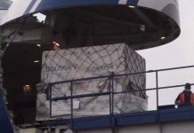 mexico, avion, vacuna, sputnik v,