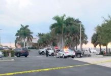 Cinco personas fallecidas tras caída de avioneta en Florida cinco