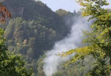 Suiza: Mueren 4 integrantes de una familia al desplomarse una avioneta suiza