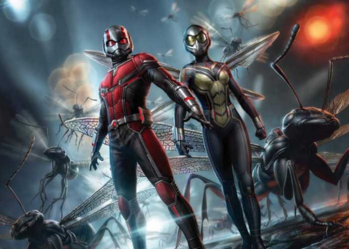 avispa_7snkV35 estados unidos