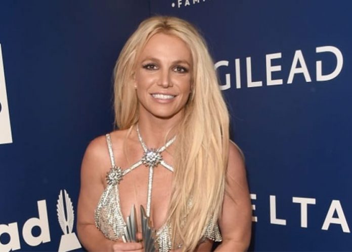 b-perro estados unidos