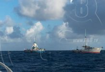 Fuerza Naval detiene a embarcación hondureña realizando pesca ilegal en el Mar Caribe mar caribe