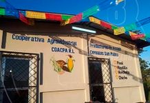Bilwi: MEFCCA inaugura planta de procesamiento agroindustrial en Tasba Pri bilwi