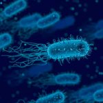 El método de Marie Kondo para crear bacterias sintéticas metodo