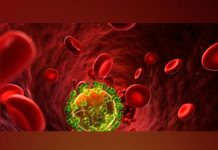 Conoce la bacteria que come y respira electricidad conoce