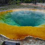 Descubren bacteria que se come la contaminación y genera electricidad bacteria