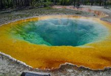 Descubren bacteria que se come la contaminación y genera electricidad bacteria