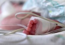 Infección bacteriana provoca muerte de bebés en España