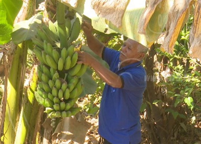 bal1_0cnu51W nicaragua