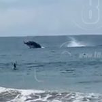Espectáculo marino en las playas de Tola, Rivas (VIDEO) nicaragua