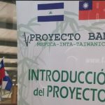 Cooperación Taiwán visitan taller nacional de madera y muebles a base de bambú nicaragua
