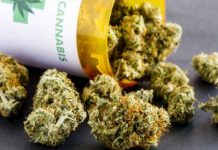 California: Senado aprueba crear bancos para marihuana estados unidos