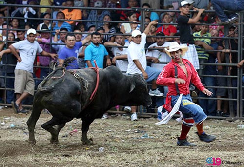 barrera-de-toros nicaragua
