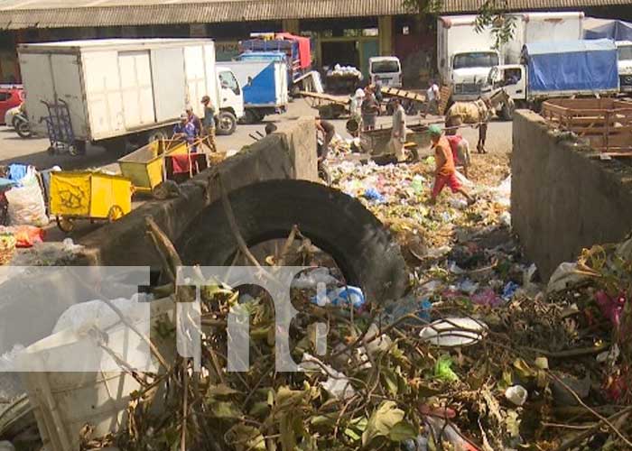 basura-acopio-mercado-1 nicaragua