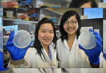 Estudiantes inventan bacteria que come plástico de los océanos y lo convierte en agua china