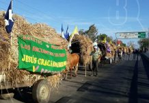 Tradicionales carretas peregrinas ingresan a Rivas nicaragua