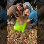 Bebé es abandonado por su madre «adicta» en zona boscosa, EE.UU estados unidos