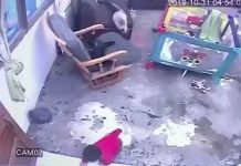 Gata salva a un bebé de caer por las escaleras (VIDEO) colombia