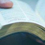 estados unidos, bebe, dieta biblica, homicidio,