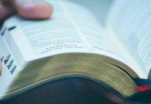 EE.UU: Kameri murió luego de ser sometido por su mamá a una dieta bíblica estados unidos, bebe, dieta biblica, homicidio,