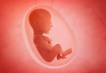 Parejas del mismo sexo podrán tener hijos biológicos con esta técnica gametogenesis in vitro