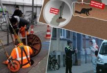 Bélgica: Audaz robo en un banco parece sacado de Hollywood belgica