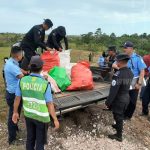 Policía quema 230 tacos de Cocaína en Bilwi nicaragua