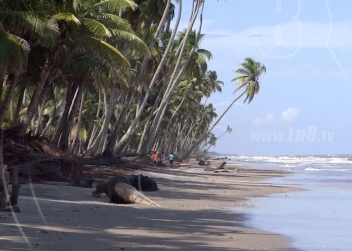 bilwi-paraiso-02 nicaragua