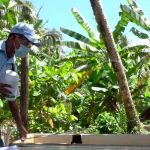 Intensifican  acciones de lucha antiepidémica en Bilwi nicaragua