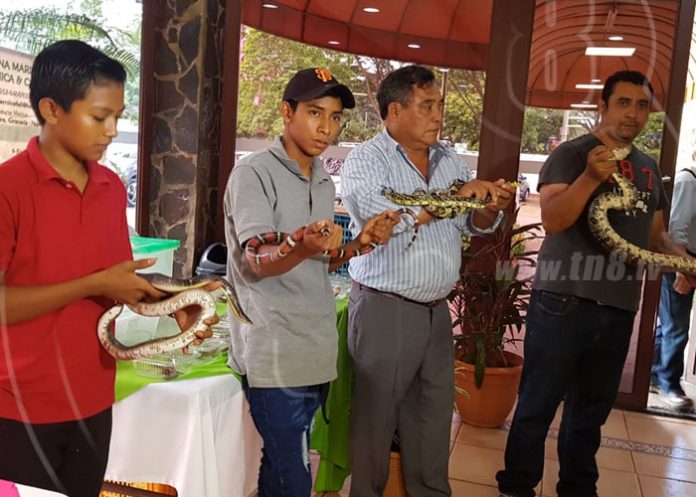 biodiversidad-nicaragua-1 nicaragua