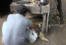 Realizan lanzamiento de campaña de aplicación de Biorat en Nandaime nicaragua