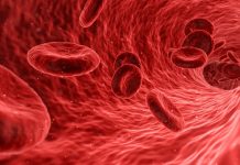 Descubren un nuevo ‘microórgano’ en el cuerpo humano australia