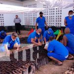 Primer vivero es inaugurado en el penal de Bluefields nicaragua