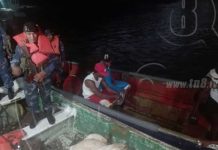 Fuerza Naval ocupa 8 tortugas verdes y 1 toro en Laguna de Perlas