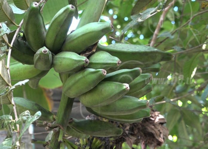 boaco-2_KZPly5q nicaragua