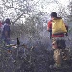 Bomberos sofocan incendios forestales en Boaco nicaragua