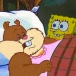 Arenita y Bob Esponja protagonizan el meme viral de marzo mundo