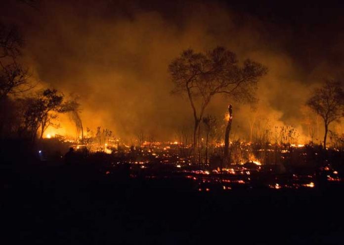 bolivia-incendios-_SAcj1cs
