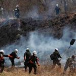 Bolivia decreta desastre nacional por incendios y sequías bolivia