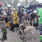 Bomberos Unificados realizarán Plan Especial de Verano semana santa