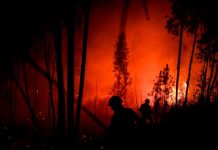 mas de mil bomberos