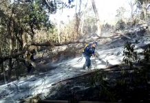 Logran controlar incendio en el Volcán Concepción, en Ometepe nicaragua