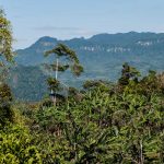 Nicaragua destina inversión de U$ 110 millones a la Reserva Bosawás nicaragua