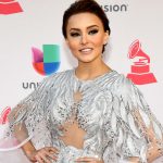 actriz angelique boyer