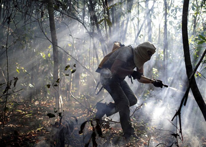 brasil-1_nG0r4gb nicaragua