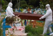 204 nuevas muertes por coronavirus en Brasil eleva la cifra total a 1.532 brasil