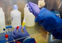 Cifra de fallecidos por coronavirus en Brasil aumentó a 46 brasil
